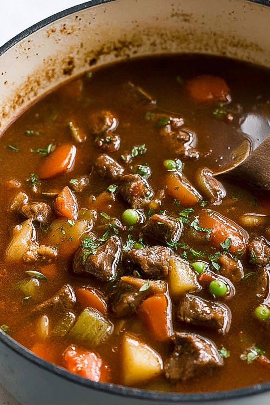Vegetable Beef Soup